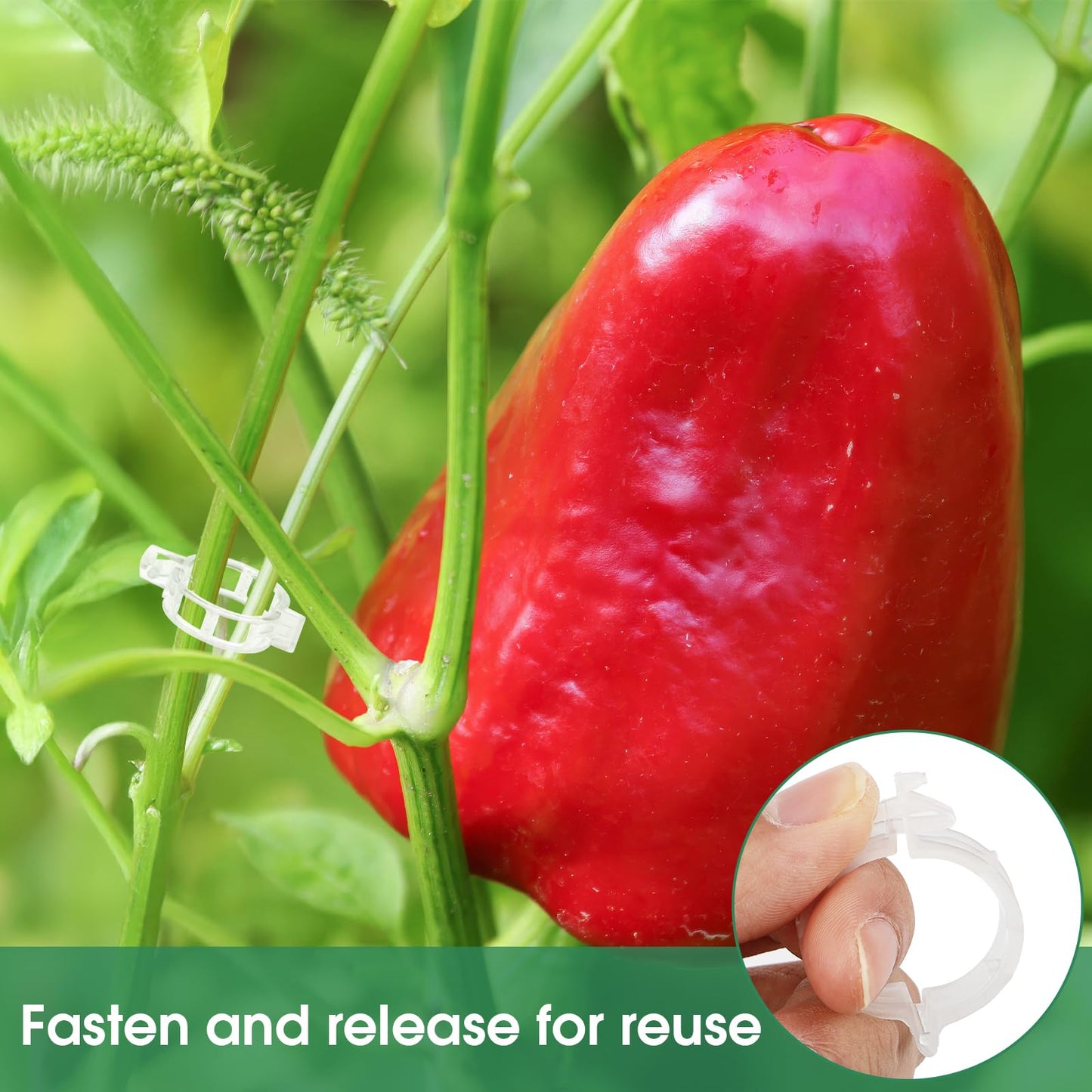 Premium Reusable Plant Support Clips