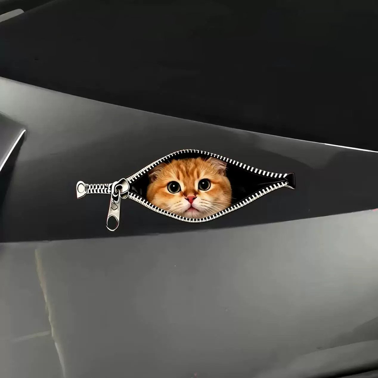 😺🚗 peek-a-boo cat car sticker(5 Pcs)