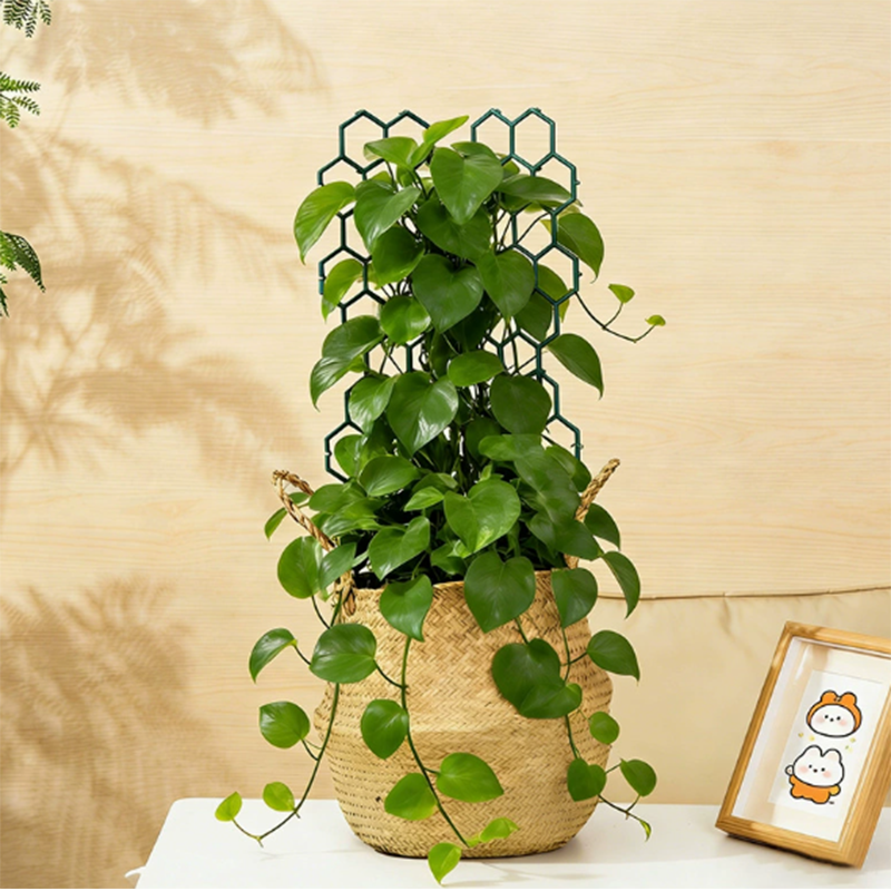 🌿 LIMITED-TIME 50% OFF! ✨ Honeycomb Plant Trellis – Rust-Proof, Stackable, Easy Install 🐝