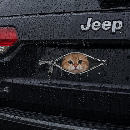 😺🚗 peek-a-boo cat car sticker(5 Pcs)