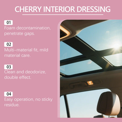 Multi-Surface Car Interior Cleaning Spray