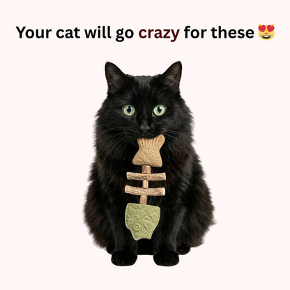 🐾-Catnip & Silvervine Chew