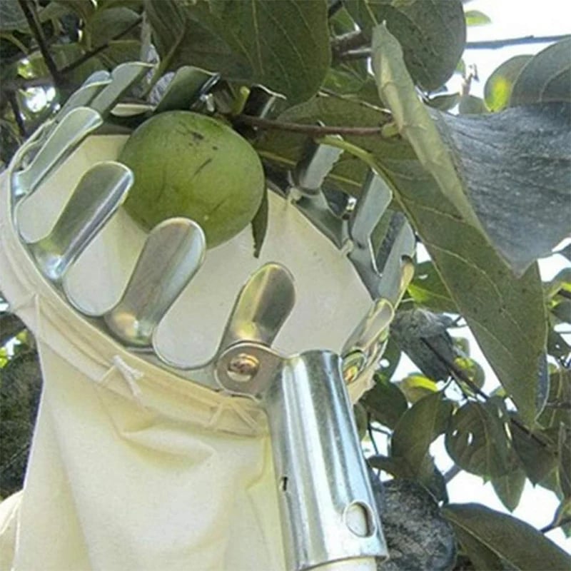🍎 Fruit Picker with Collection Basket