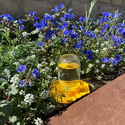🔥Hot Sale 49% OFF - 🐝💦Bee Watering Dish (3D Printed)