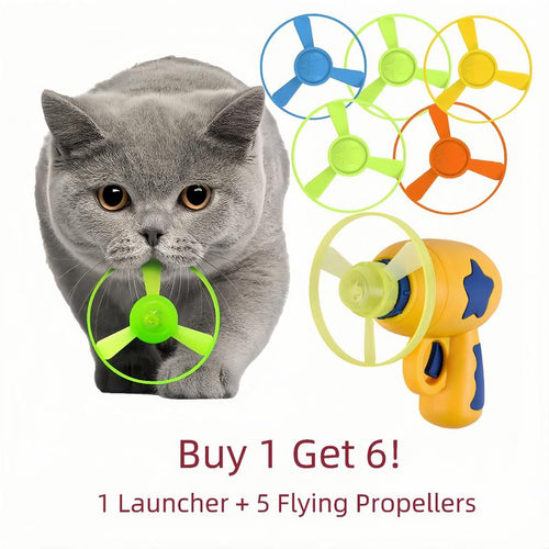 🐈6 Pcs Cat Fetch Toy Set Launcher Gun