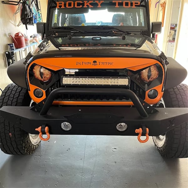 💀 Beast Eyes Mesh Car Headlight Stickers 🚘