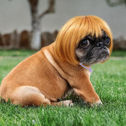 🐶 Funny Pet Wig Headband for Dogs & Cats – Cute Costume Accessory for Photos, Parties & Holidays