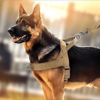 ✨Heavy-Duty Tactical Dog Harness with Handle🐕