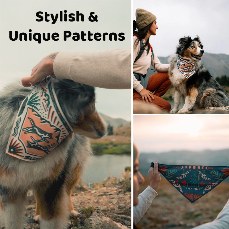 Dog Water Bandana – 2-in-1 Portable Dog Drinking Bowl for Walks, Hiking, Travel & Outdoor Adventures