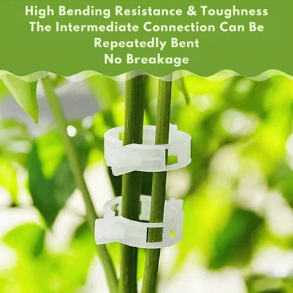 Plant Support Clips