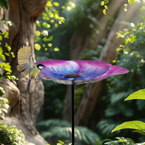 Decorative Bird Bath Detachable Pole Ornament Bird Watcher Gift Multipurpose