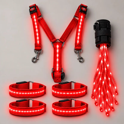 🐎Horse LED Night Glow Protection Gear 6-Piece Full Set