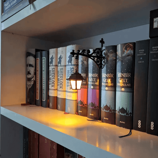 Library Lantern-Decorative Bookshelf Lighting（What you see is what you get！）