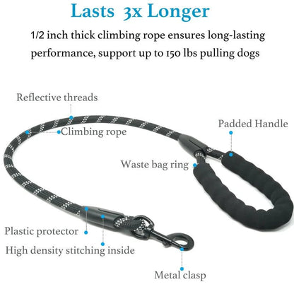 🐕Heavy Duty Dog Leash with Shock Absorbing Bungee