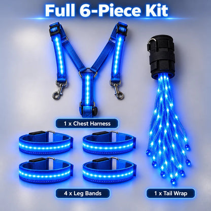 🐎Horse LED Night Glow Protection Gear 6-Piece Full Set