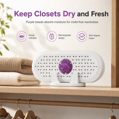 Mini Reusable Household Dehumidifier