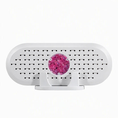 Mini Reusable Household Dehumidifier