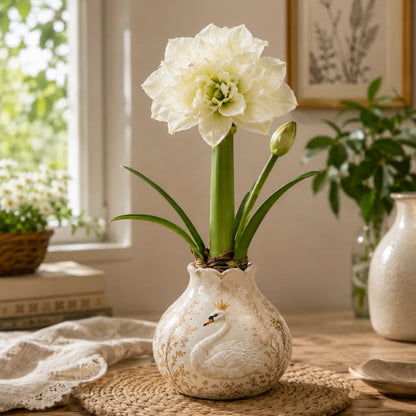 🔥 No Soil! No Water! Just Blooms! 🌺 Watch These Waxed Amaryllis Bulbs Come to Life!