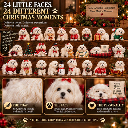 24 Days of Maltese Joy – A Christmas Collection of Little Moments & Big Love🐾❤️