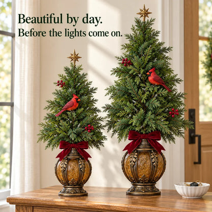 🎄cardinal Lantern Trees⭐⭐