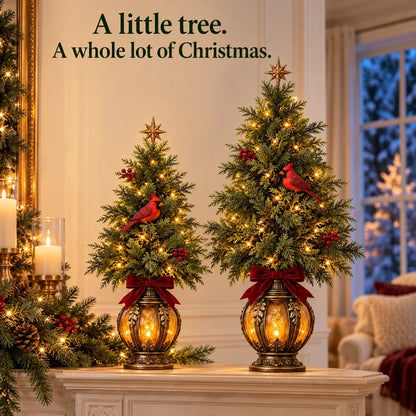 🎄cardinal Lantern Trees⭐⭐