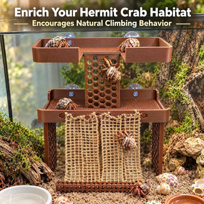 Double-Tier Hermit Crab Climbing Platform with Rope Net