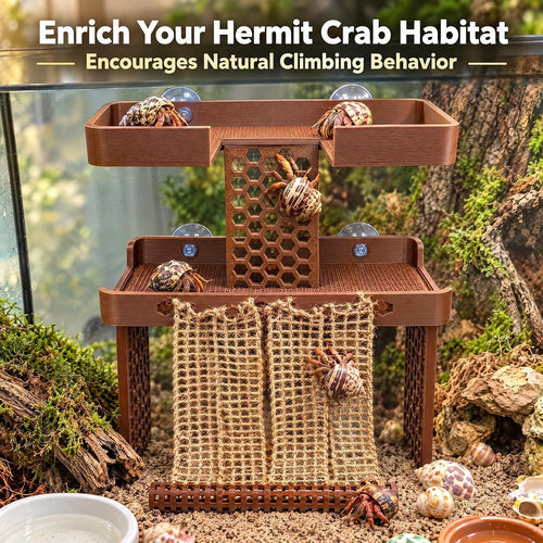 Double-Tier Hermit Crab Climbing Platform with Rope Net