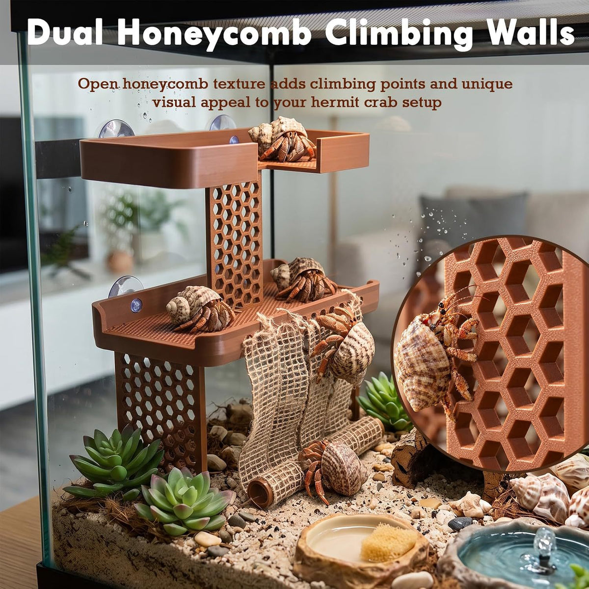 Double-Tier Hermit Crab Climbing Platform with Rope Net