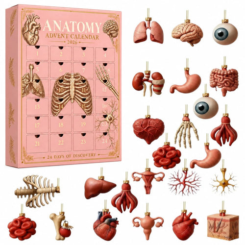 Anatomy Advent Calendar — 24 Anatomy Ornaments