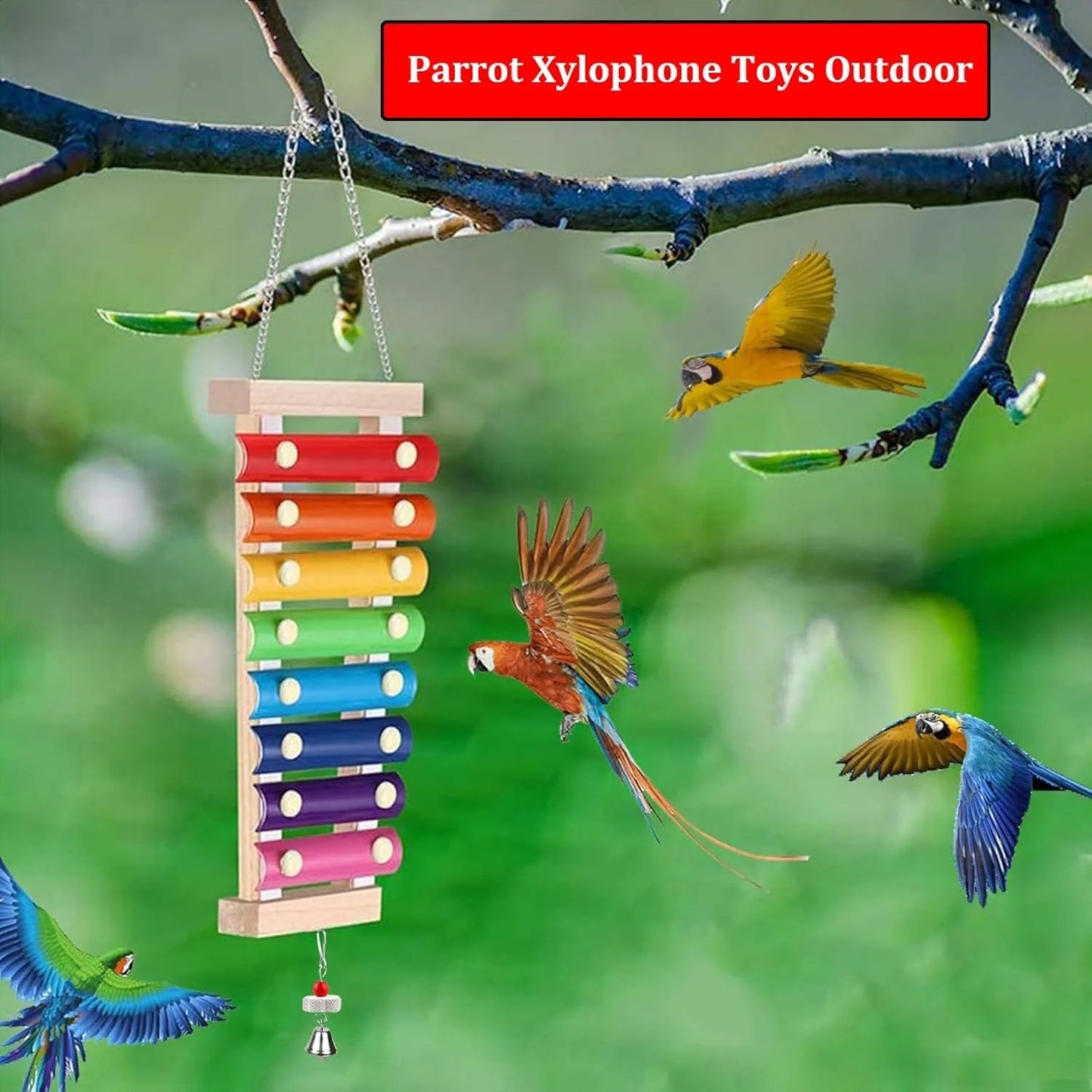 Natural Wood Xylophone & Chew Toy for Parrots 🦜🎶