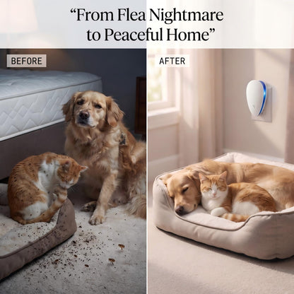 ❄️Summerfresh 50% OFF!🏠Advanced Pest Control– Eradicates Fleas Once And For All.