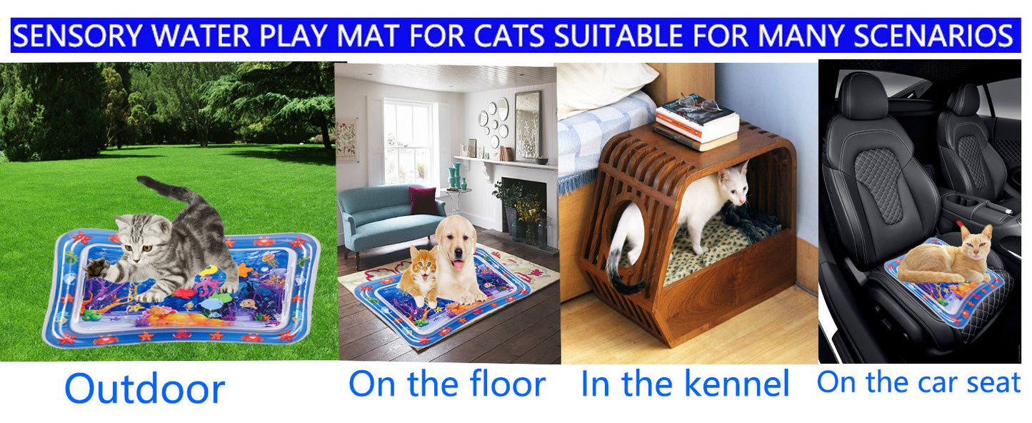 Pet Water Sensory Mat