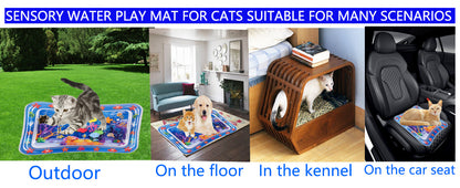 Pet Water Sensory Mat