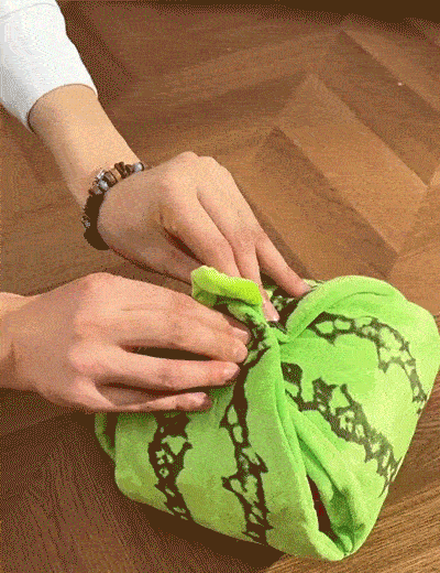 Orange Hide-and-Seek Plush Dog Toy