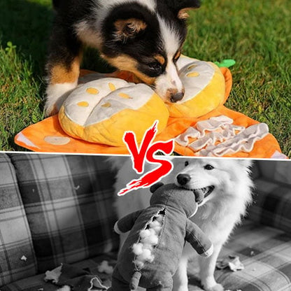 Orange Hide-and-Seek Plush Dog Toy