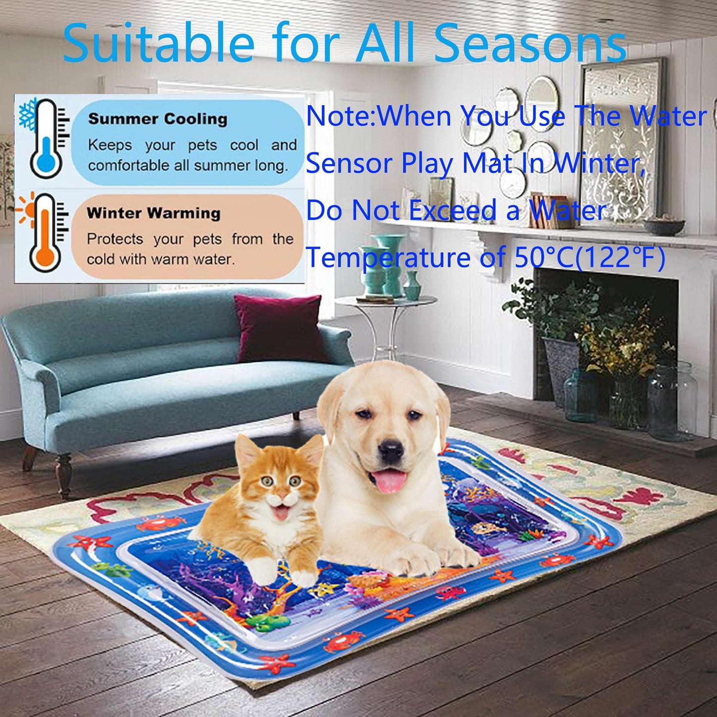 Pet Water Sensory Mat