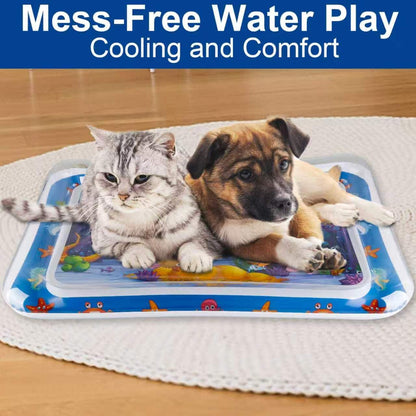 Pet Water Sensory Mat