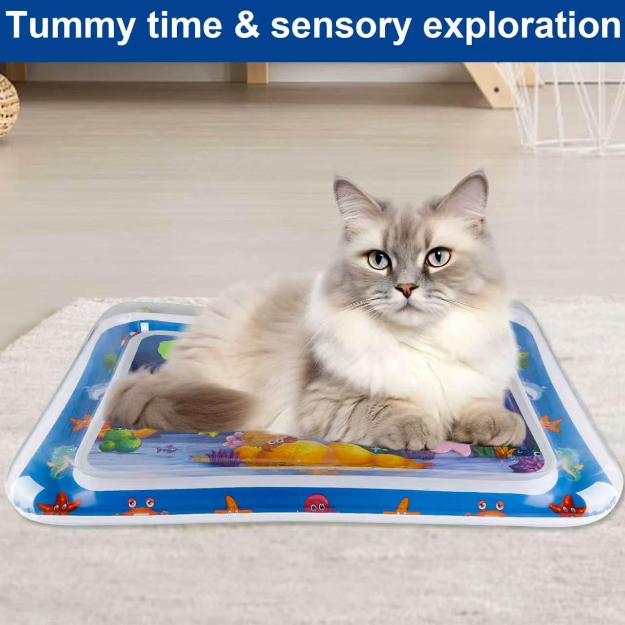 Pet Water Sensory Mat
