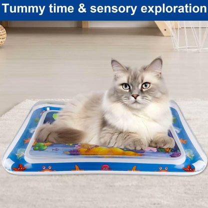 Pet Water Sensory Mat
