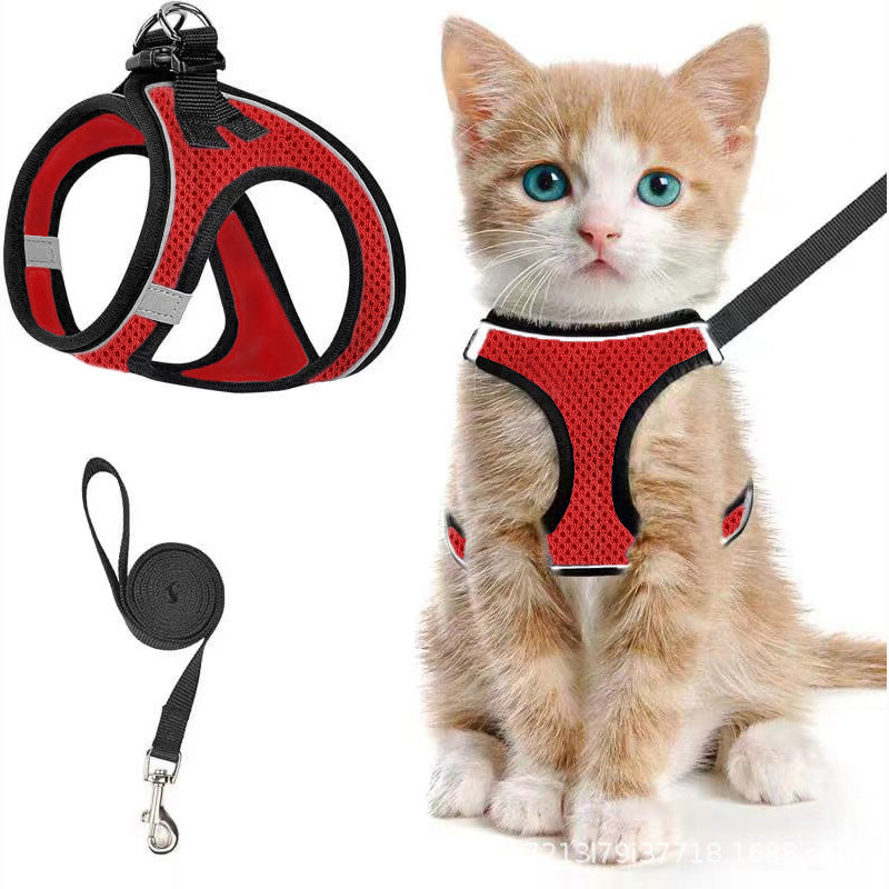 Escape-Proof Soft Mesh Harness
