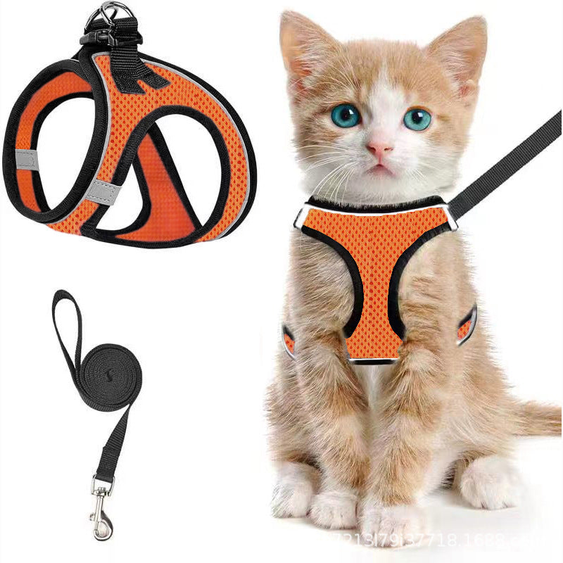 Escape-Proof Soft Mesh Harness