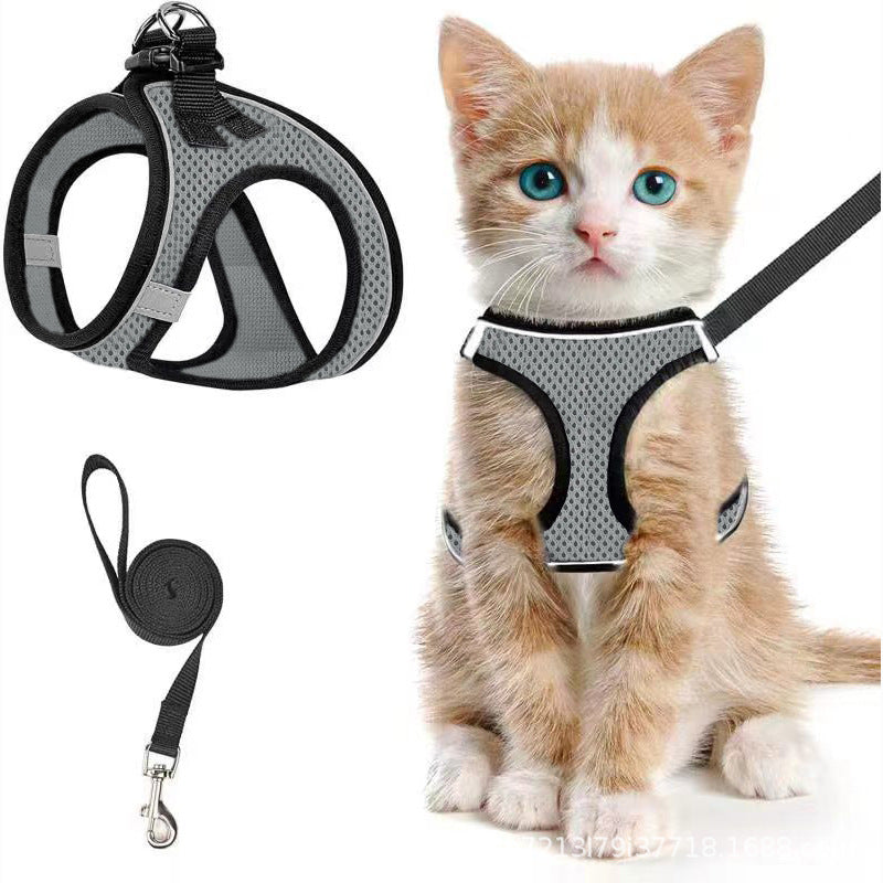 Escape-Proof Soft Mesh Harness