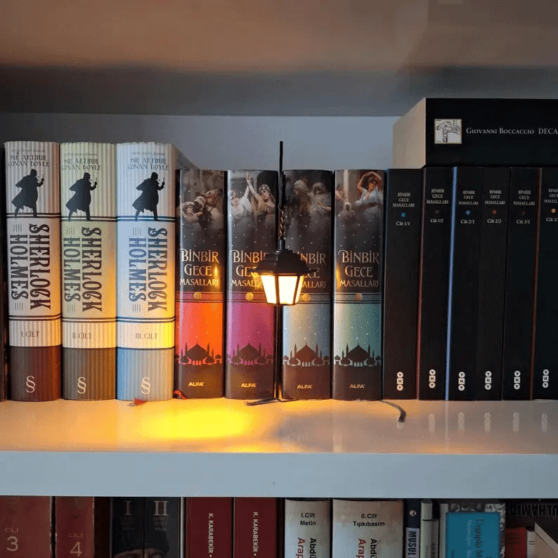 Library Lantern-Decorative Bookshelf Lighting（What you see is what you get！）