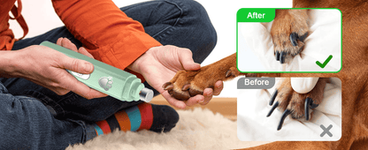 ⏰Trim Nails Like a Vet Pro! ✂️🏆 | Smart LED Pet Grinder - See Blood Vessels, Zero Ouch Guarantee