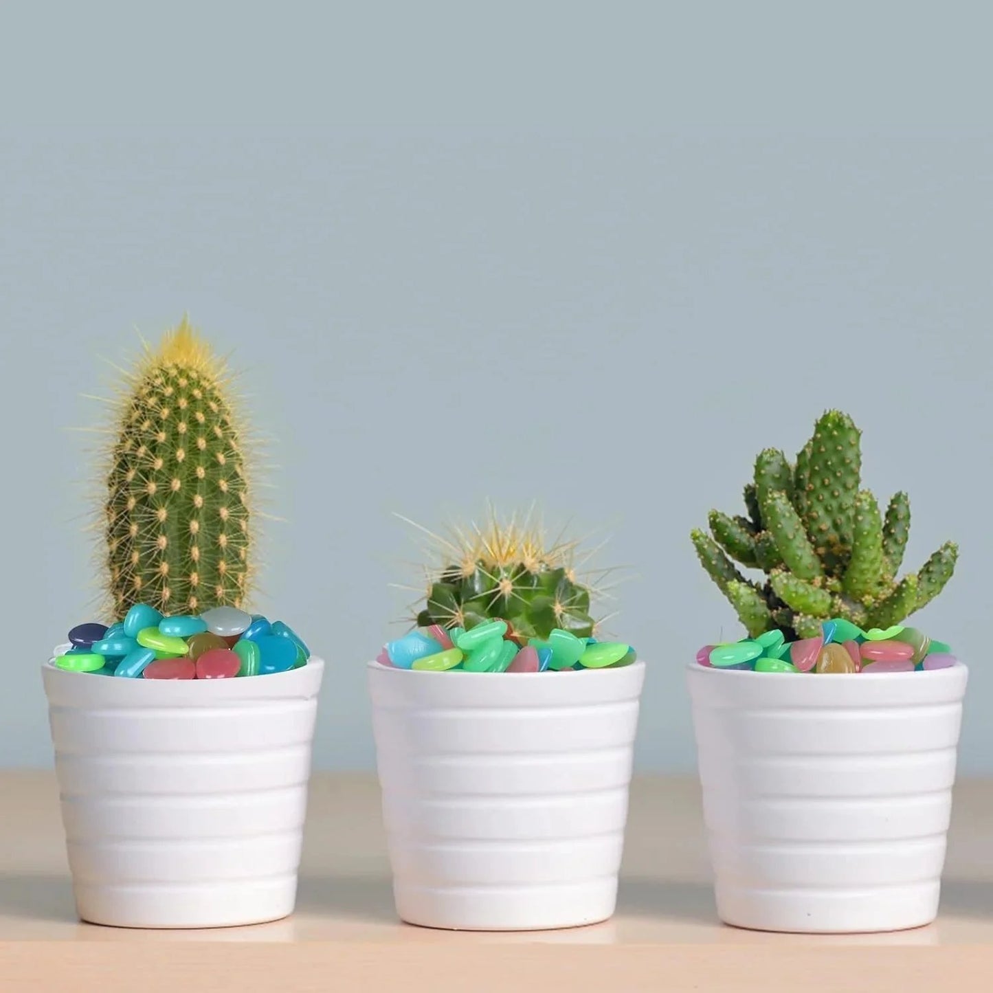 💥🌈Colorful Glow-in-the-Dark Garden Stones