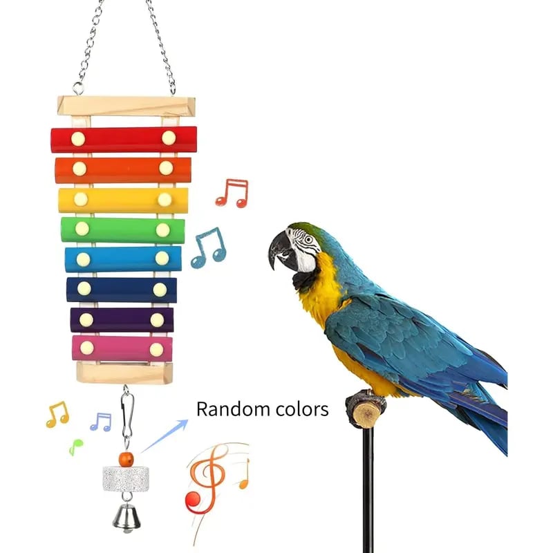 Natural Wood Xylophone & Chew Toy for Parrots 🦜🎶