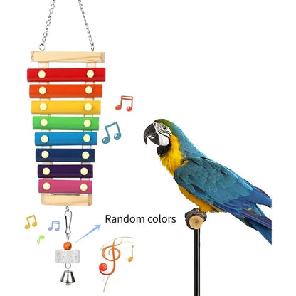 Natural Wood Xylophone & Chew Toy for Parrots 🦜🎶