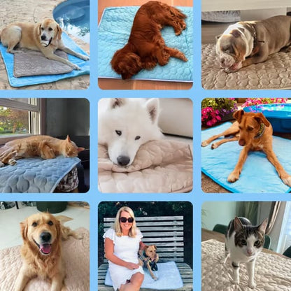 🐶🐱🐾 Cooling Pet Pad Multi‑Size – Breathable, Washable, Non‑Slip – Dog Bed, Sofa Cover, Car Seat Mat – Supports up to 80kg – 3 Colours Available