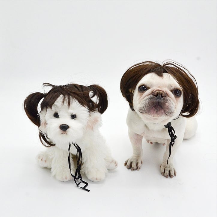 🐶 Funny Pet Wig Headband for Dogs & Cats – Cute Costume Accessory for Photos, Parties & Holidays