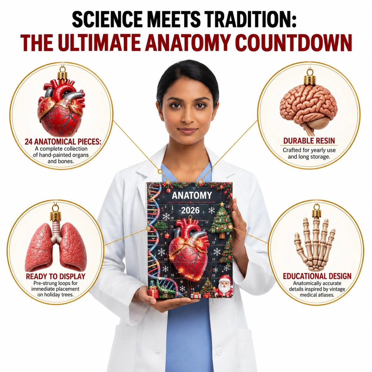 Loriova™ Anatomy Advent Calendar